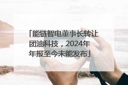 能链智电董事长转让团油科技，2024年年报至今未能发布