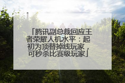 腾讯副总裁回应王者荣耀人机水平：起初为顶替掉线玩家，可秒杀比赛级玩家