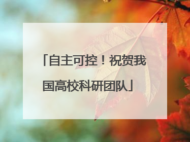 自主可控！祝贺我国高校科研团队