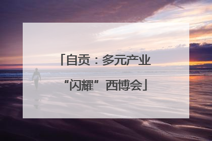 自贡：多元产业“闪耀”西博会