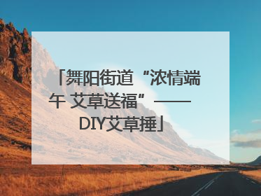 舞阳街道“浓情端午 艾草送福”——DIY艾草捶
