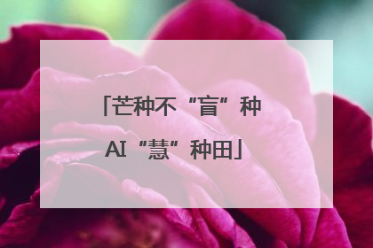 芒种不“盲”种 AI“慧”种田