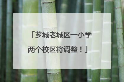 芗城老城区一小学两个校区将调整！