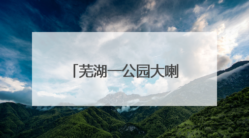芜湖一公园大喇叭辱骂遛狗市民？真相来了……