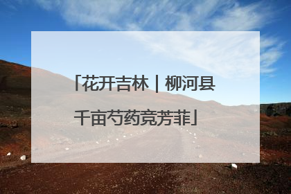 花开吉林｜柳河县千亩芍药竞芳菲