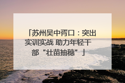 苏州吴中胥口：突出实训实战 助力年轻干部“壮苗抽穗”