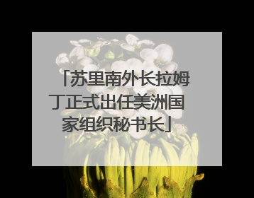 苏里南外长拉姆丁正式出任美洲国家组织秘书长