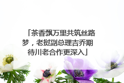 茶香飘万里共筑丝路梦，老挝副总理吉乔期待川老合作更深入