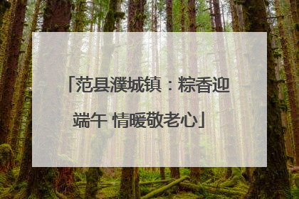 范县濮城镇：粽香迎端午 情暖敬老心