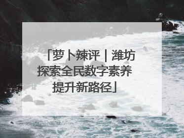 萝卜辣评｜潍坊探索全民数字素养提升新路径