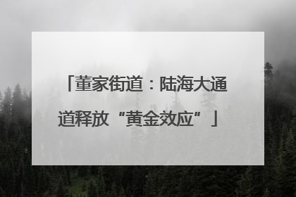 董家街道：陆海大通道释放“黄金效应”