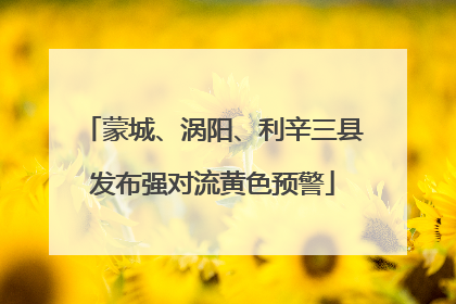 蒙城、涡阳、利辛三县发布强对流黄色预警