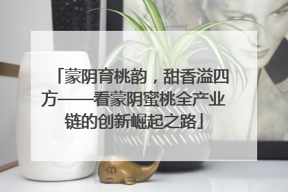 蒙阴育桃韵，甜香溢四方——看蒙阴蜜桃全产业链的创新崛起之路