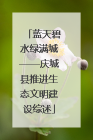 蓝天碧水绿满城——庆城县推进生态文明建设综述