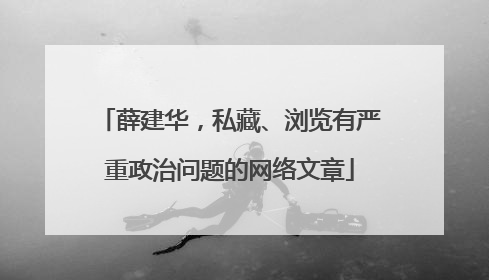 薛建华，私藏、浏览有严重政治问题的网络文章