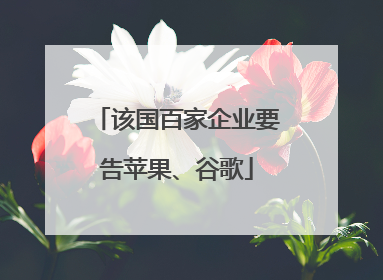 该国百家企业要告苹果、谷歌
