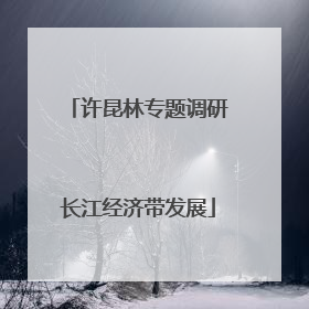 许昆林专题调研长江经济带发展