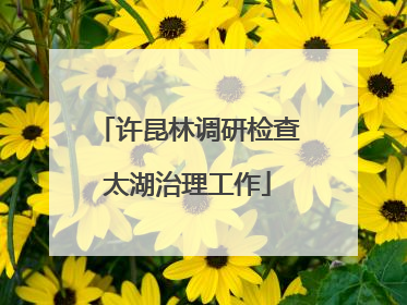 许昆林调研检查太湖治理工作