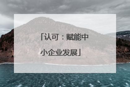 认可：赋能中小企业发展