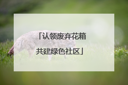 认领废弃花箱 共建绿色社区