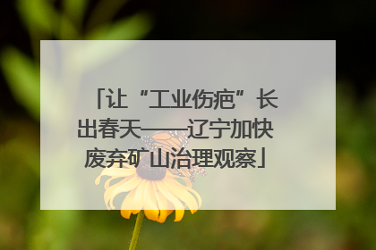 让“工业伤疤”长出春天——辽宁加快废弃矿山治理观察