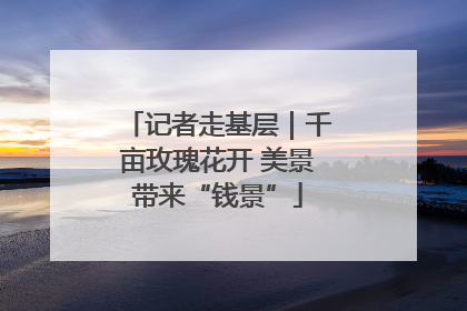 记者走基层｜千亩玫瑰花开 美景带来“钱景”