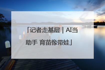 记者走基层｜AI当助手 育苗像带娃