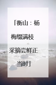 衡山：杨梅缀满枝 采摘尝鲜正当时