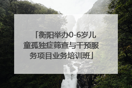 衡阳举办0-6岁儿童孤独症筛查与干预服务项目业务培训班