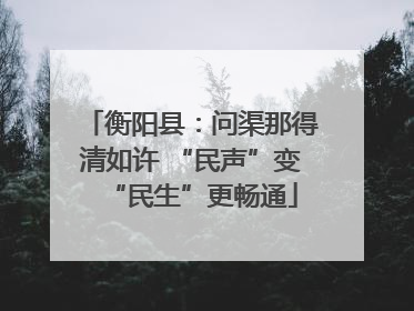 衡阳县：问渠那得清如许 “民声”变“民生”更畅通