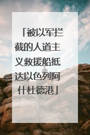 被以军拦截的人道主义救援船抵达以色列阿什杜德港
