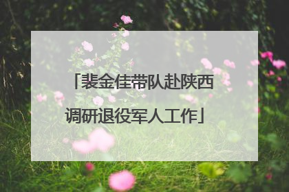 裴金佳带队赴陕西调研退役军人工作
