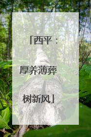 西平：厚养薄葬树新风