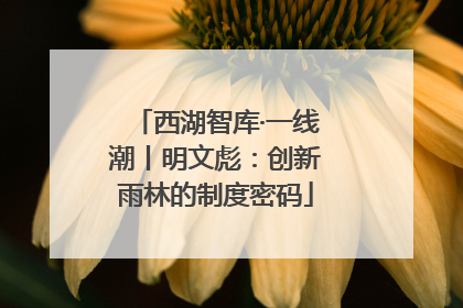 西湖智库·一线潮丨明文彪：创新雨林的制度密码