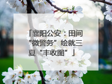 襄阳公安：田间“微警务”绘就三夏“丰收图”