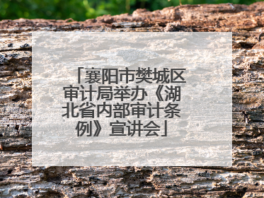 襄阳市樊城区审计局举办《湖北省内部审计条例》宣讲会