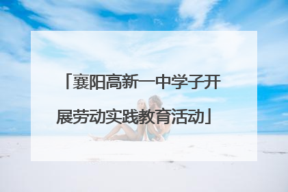 襄阳高新一中学子开展劳动实践教育活动