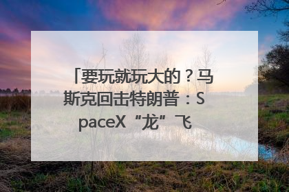 要玩就玩大的？马斯克回击特朗普：SpaceX“龙”飞船将立即退役！