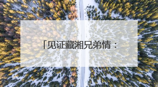 见证藏湘兄弟情：西藏山南特色产品亮相第四届中国-非洲经贸博览会