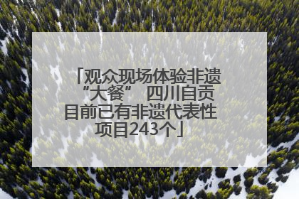 观众现场体验非遗“大餐” 四川自贡目前已有非遗代表性项目243个