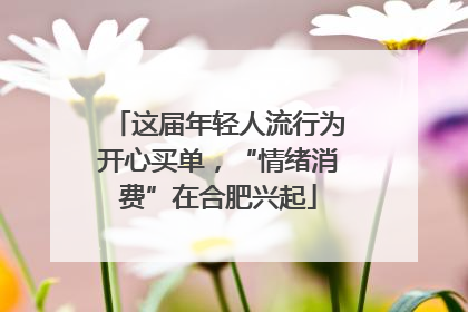 这届年轻人流行为开心买单，“情绪消费”在合肥兴起