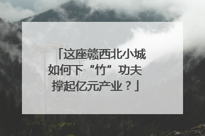 这座赣西北小城如何下“竹”功夫撑起亿元产业？