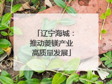 辽宁海城：推动菱镁产业高质量发展