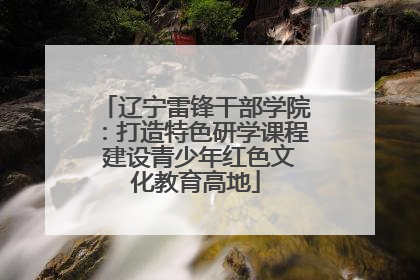 辽宁雷锋干部学院：打造特色研学课程 建设青少年红色文化教育高地