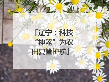 辽宁：科技“神器”为农田夏管护航