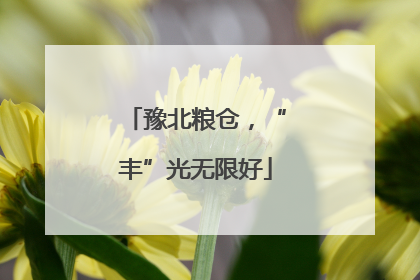 豫北粮仓，“丰”光无限好
