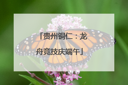贵州铜仁：龙舟竞技庆端午