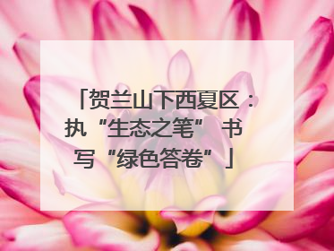 贺兰山下西夏区：执“生态之笔” 书写“绿色答卷”