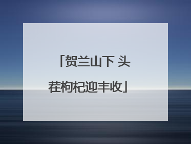 贺兰山下 头茬枸杞迎丰收