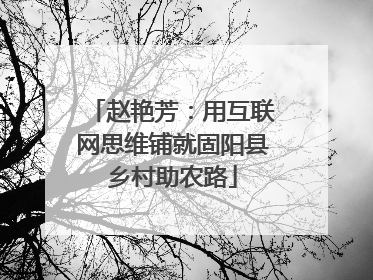 赵艳芳：用互联网思维铺就固阳县乡村助农路